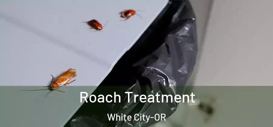 Roach Treatment White City-OR