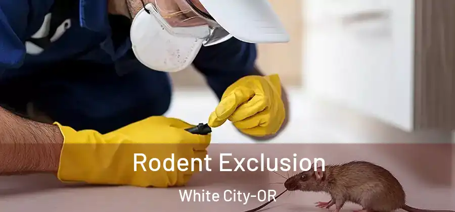 Rodent Exclusion White City-OR