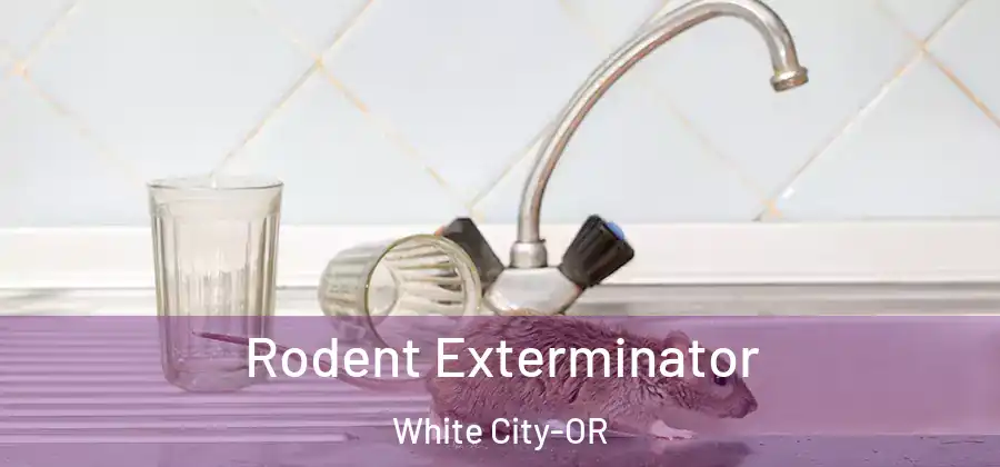 Rodent Exterminator White City-OR