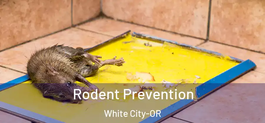 Rodent Prevention White City-OR