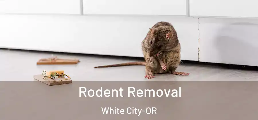 Rodent Removal White City-OR
