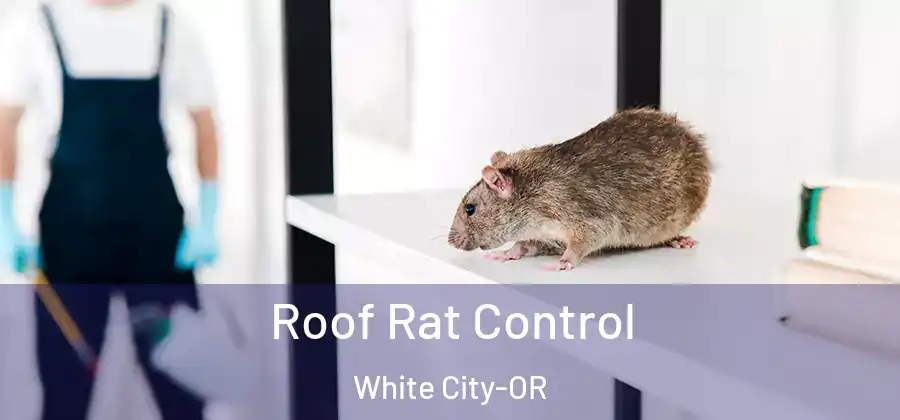  Roof Rat Control White City-OR