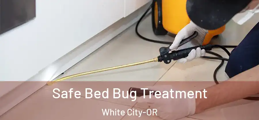Safe Bed Bug Treatment White City-OR