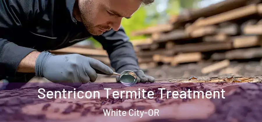  Sentricon Termite Treatment White City-OR