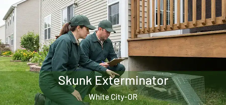Skunk Exterminator White City-OR