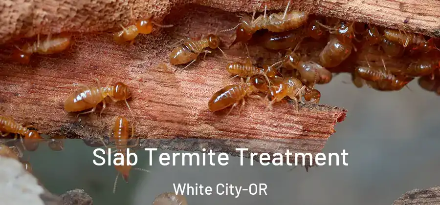 Slab Termite Treatment White City-OR