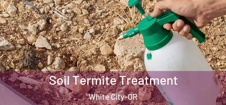 Soil Termite Treatment White City-OR