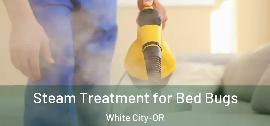 Steam Treatment for Bed Bugs White City-OR