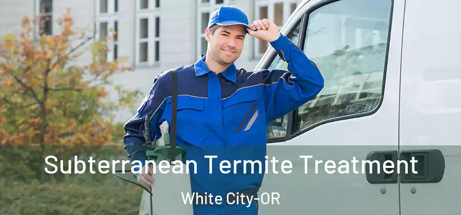 Subterranean Termite Treatment White City-OR
