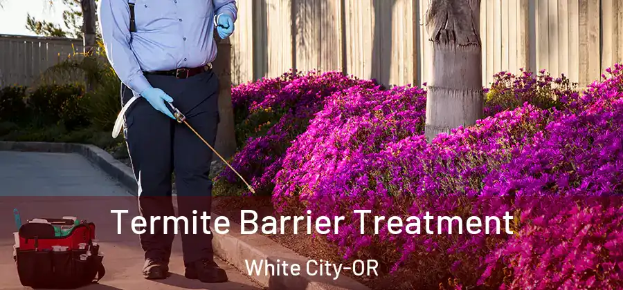  Termite Barrier Treatment White City-OR