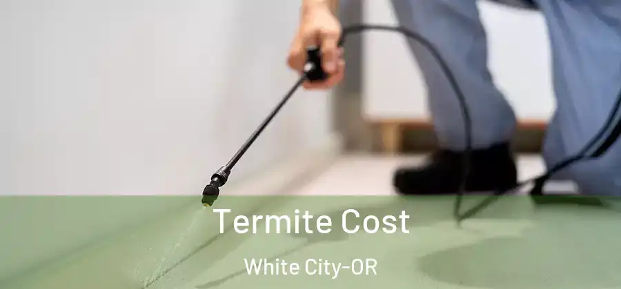 Termite Cost White City-OR