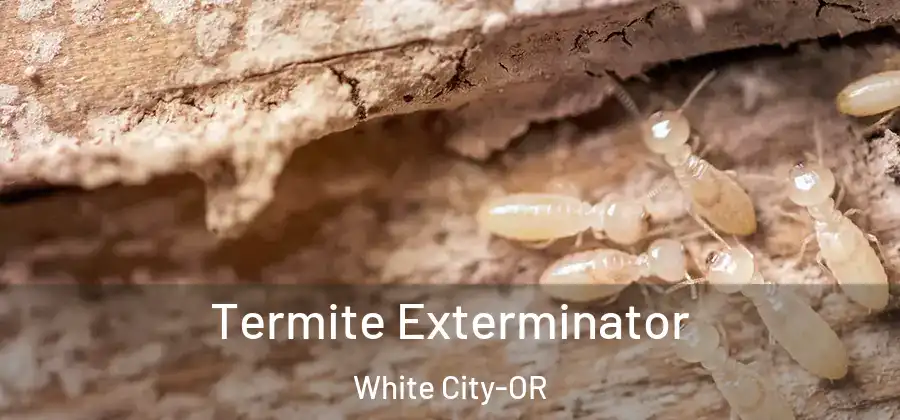 Termite Exterminator White City-OR