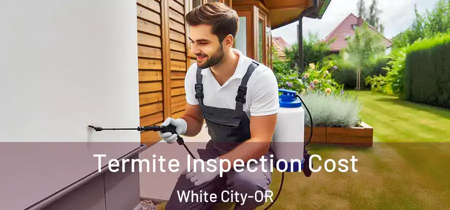 Termite Inspection Cost White City-OR