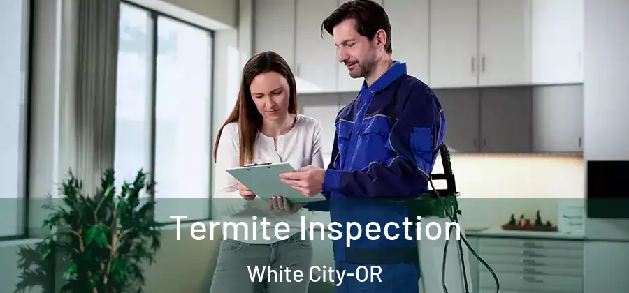  Termite Inspection White City-OR