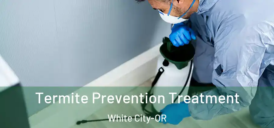  Termite Prevention Treatment White City-OR