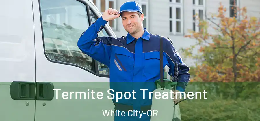 Termite Spot Treatment White City-OR