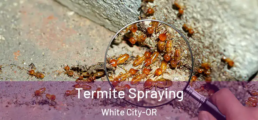 Termite Spraying White City-OR
