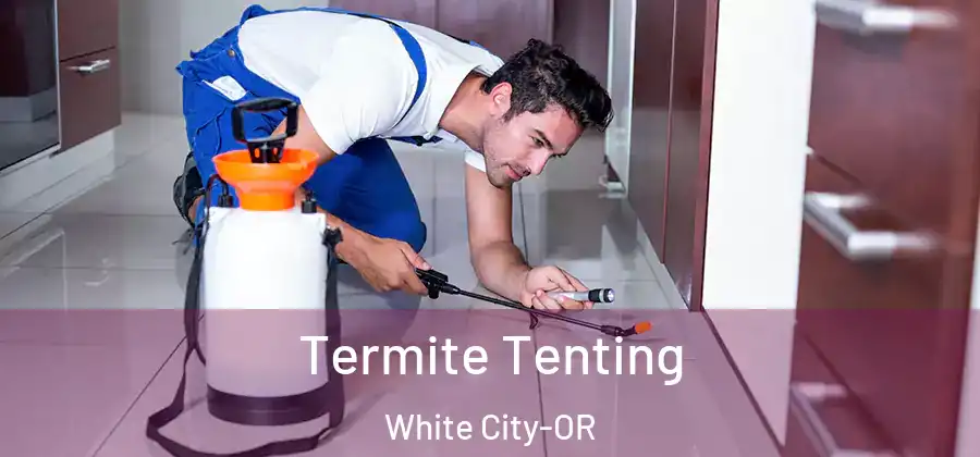 Termite Tenting White City-OR