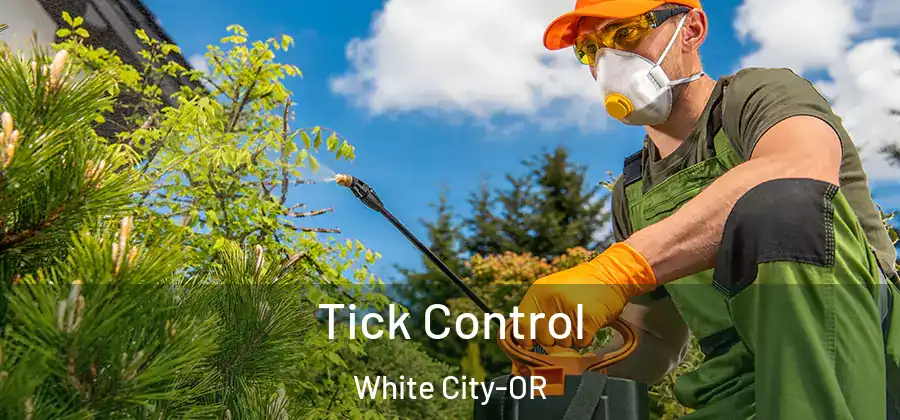 Tick Control White City-OR