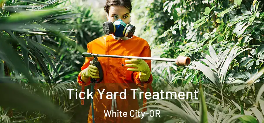 Tick Yard Treatment White City-OR