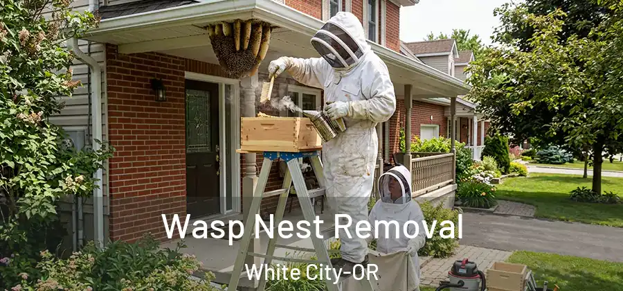 Wasp Nest Removal White City-OR