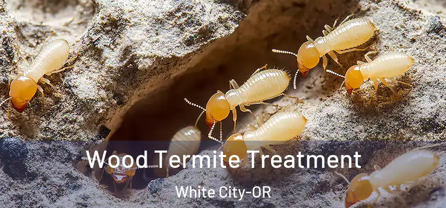 Wood Termite Treatment White City-OR