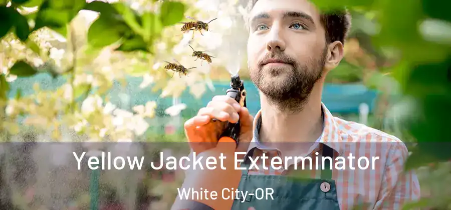 Yellow Jacket Exterminator White City-OR